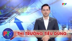 Consumer Market News October 3, 2026 | Domestic gold prices show mixed volatility